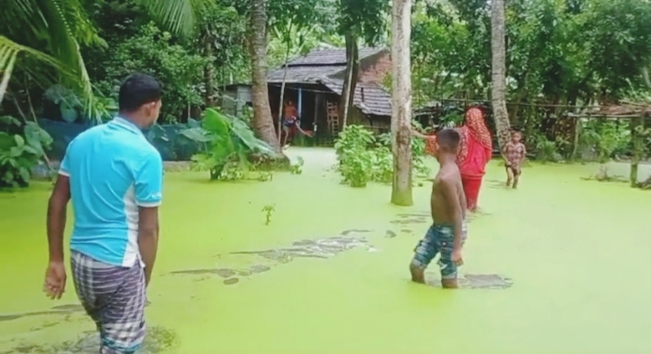 নিস্কাসনের ব্যবস্থা না থাকায় ৫টি পরিবার পানিবন্দি