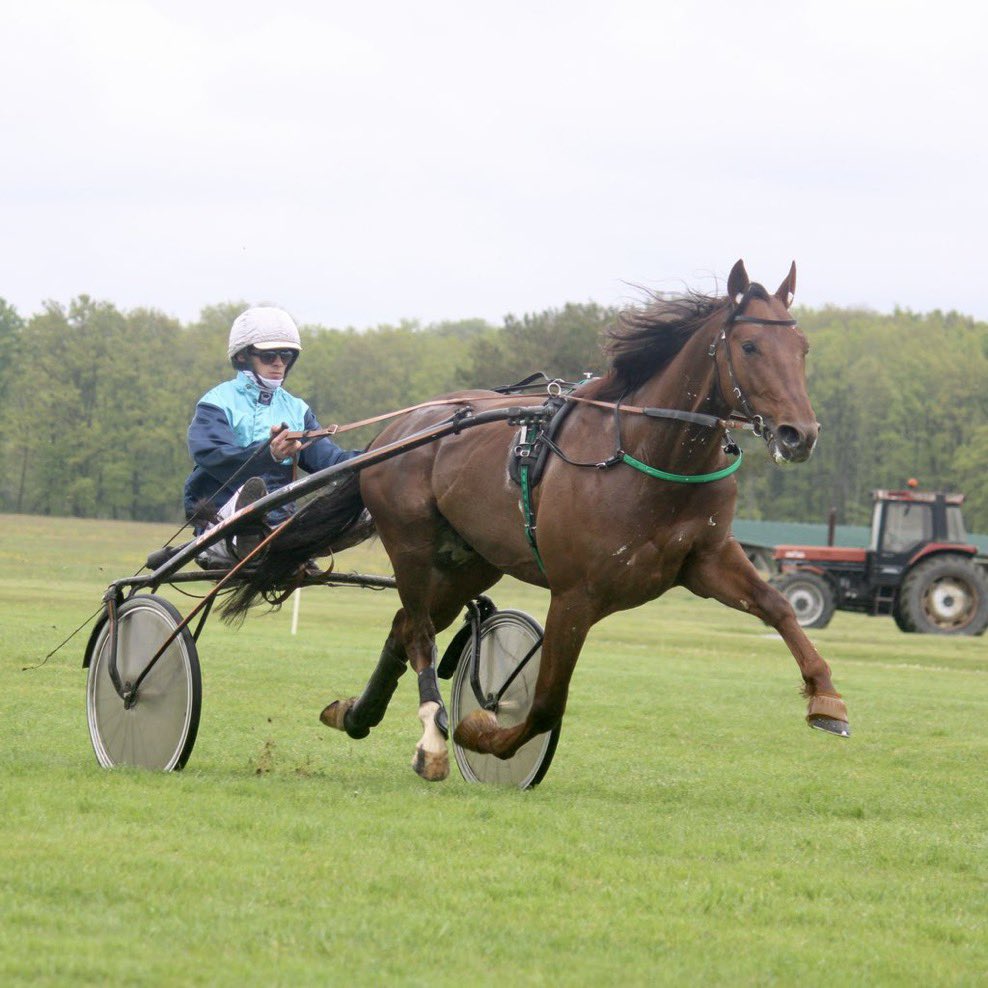 🎯 𝗟𝗘 𝗣𝗔𝗥𝗧𝗔𝗡𝗧 𝗗𝗘 𝗖𝗘 𝗗𝗜𝗠𝗔𝗡𝗖𝗛𝗘
📍 Vincennes

🟠 411 Jaguar Griff : Le cheval est en forme et revient sur la cendrée avec des ambitions.
A l’issue d’un bon parcours, sa place est dans le Quinte !