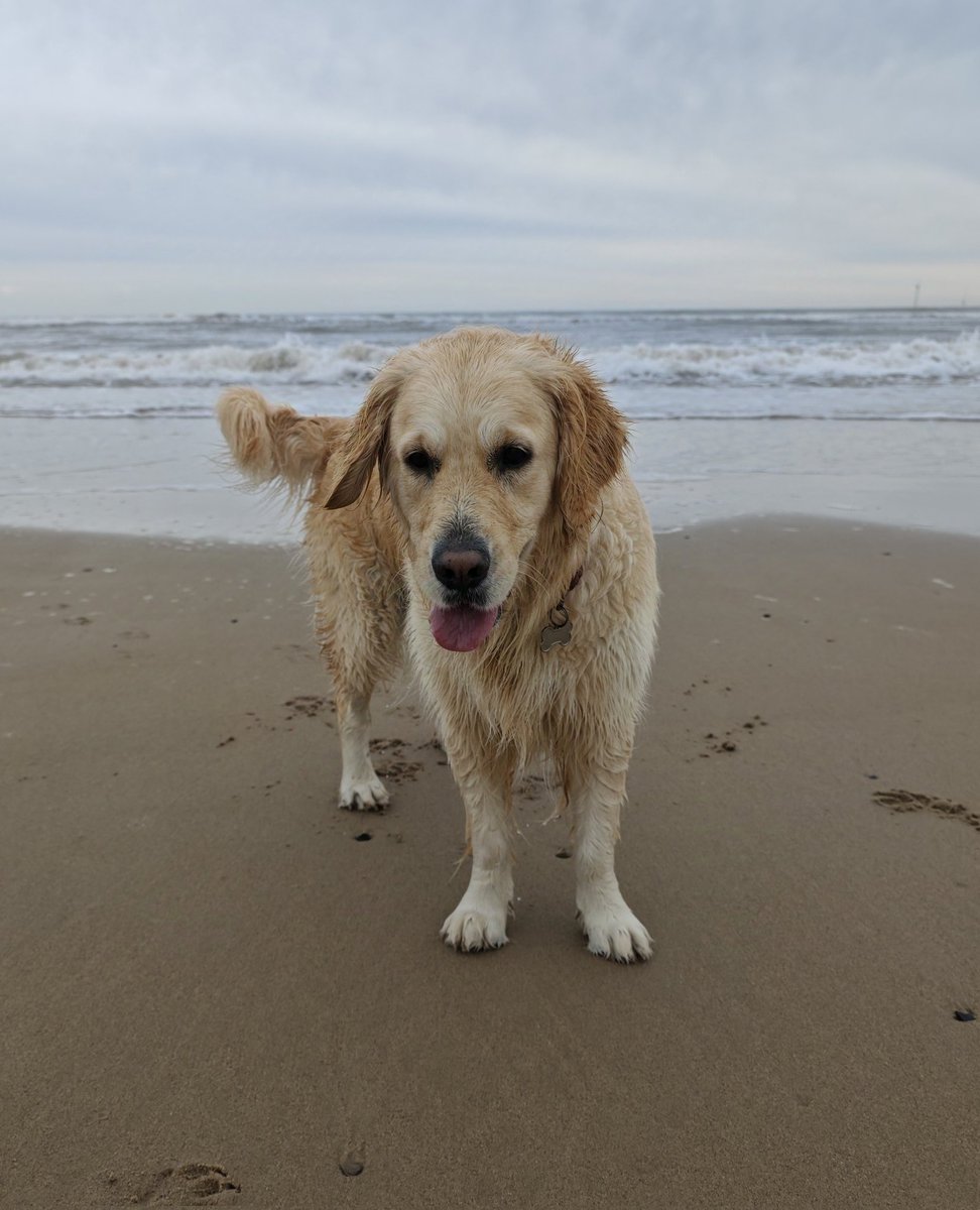 Adam Lee tweet media