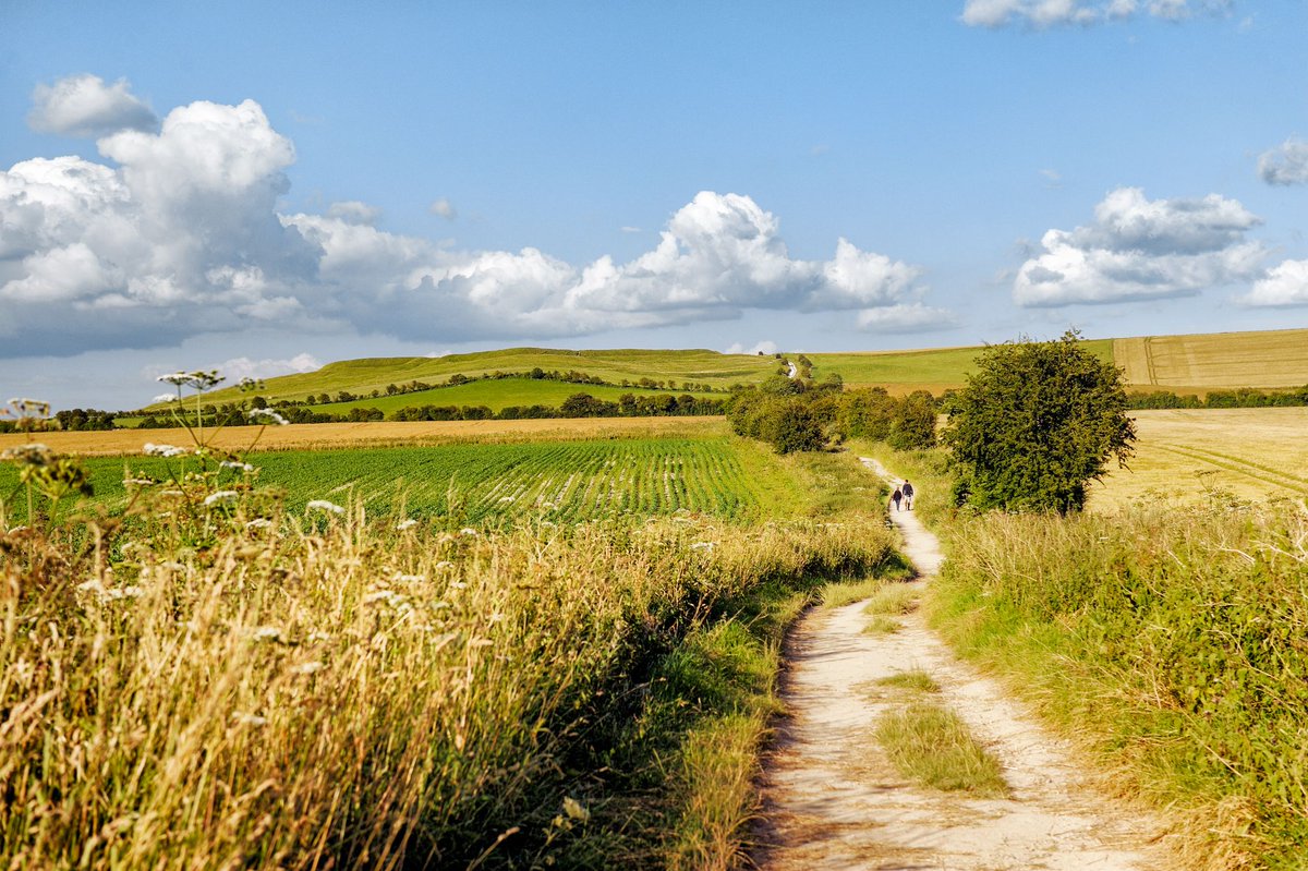 Absolute Escapes (@absoluteescapes) on Twitter photo Happy birthday to <a href="/TheRidgeway1972/">The Ridgeway National Trail</a>! 🎉🥾
#OnThisDay in 1973, this historic 87-mile walking trail opened, offering breathtaking views and ancient history. Have you walked ‘Britain’s oldest road’? Share your favourite memories or photos below! 👇🌿 Happy birthday to <a href="/TheRidgeway1972/">The Ridgeway National Trail</a>! 🎉🥾
#OnThisDay in 1973, this historic 87-mile walking trail opened, offering breathtaking views and ancient history. Have you walked ‘Britain’s oldest road’? Share your favourite memories or photos below! 👇🌿
