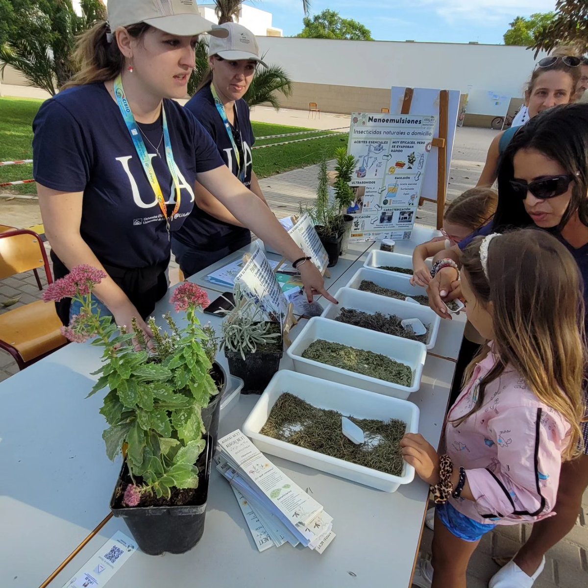 Un any més, l'institut CIBIO ha tingut la satisfacció de participar a la Nit europea dels investigadors 2024. Ha estat un gran èxit d'organització de la UA.  Gràcies a tots els que han fet possible que un dia com aquest sigui un èxit i han donat a conèixer la ciència.