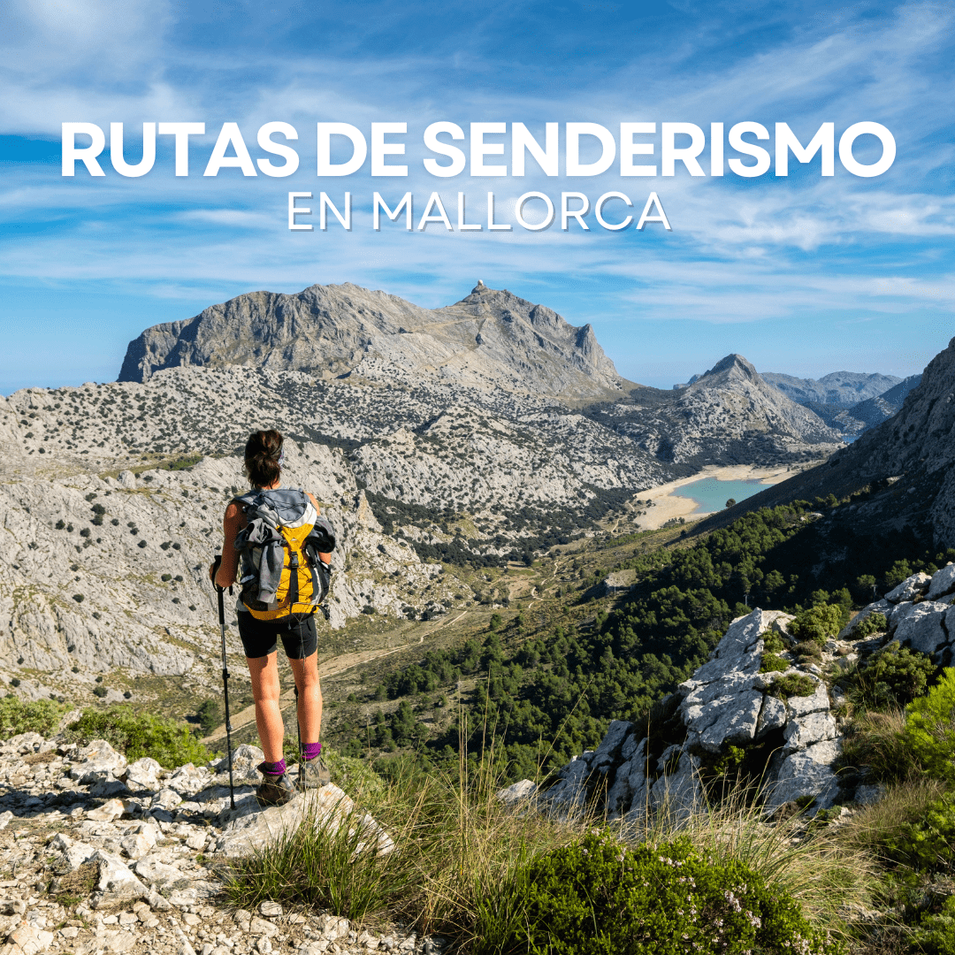 Ayer llegó la estación perfecta para descubrir #Mallorca a pie. ¿Te animas a explorar sus rutas de senderismo? 🍂

⬇️