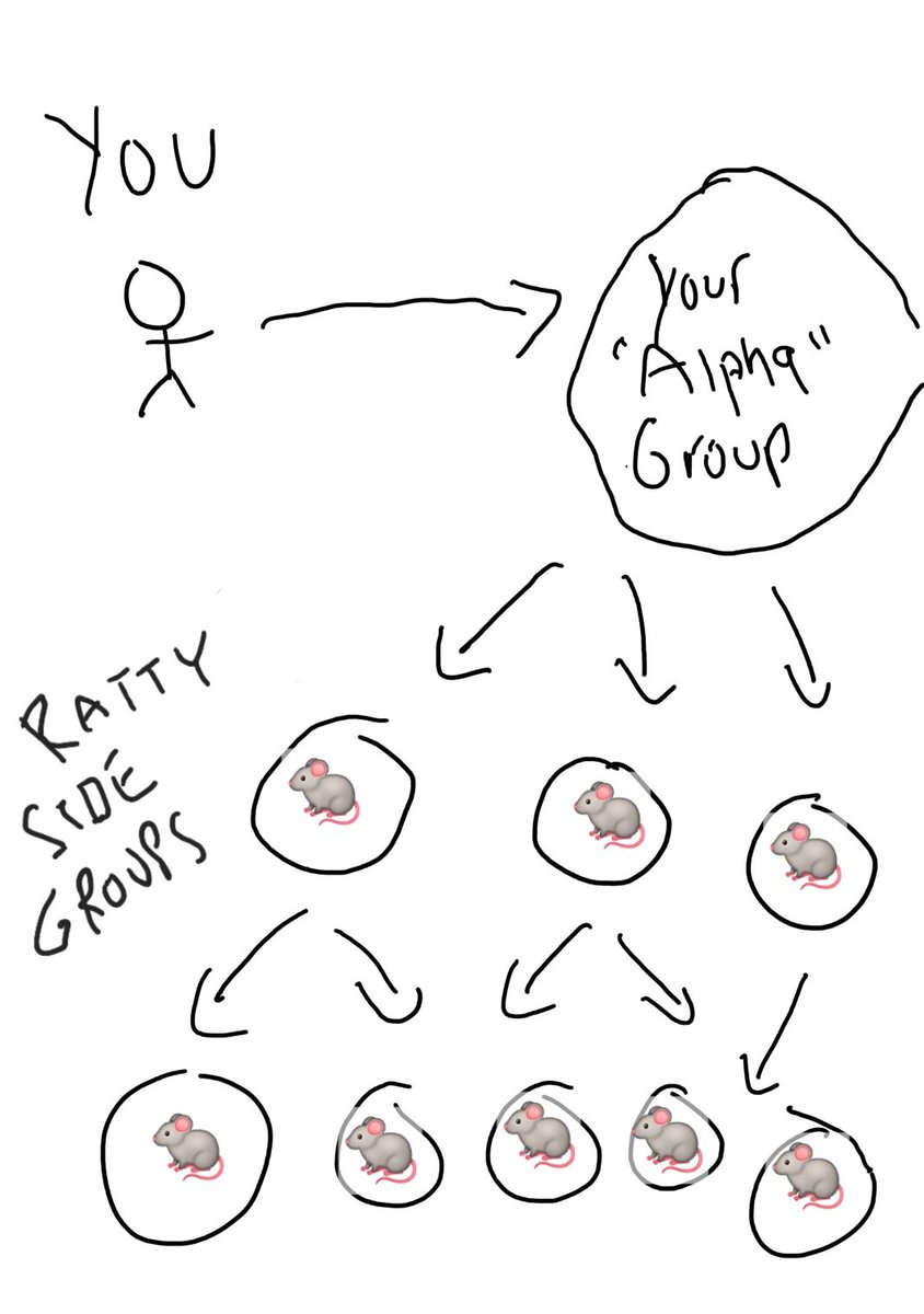 Hon. White Rabbit, PhD. tweet media