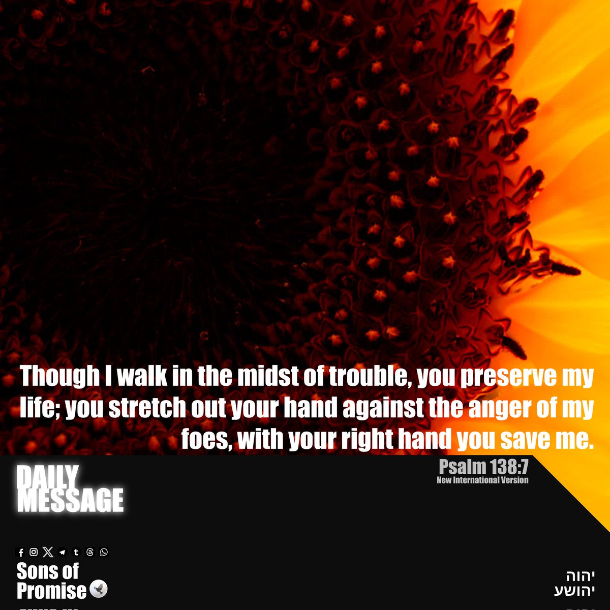 promiseFPUS's tweet photo. Psalm 138:7

Though I walk in the midst of trouble, you preserve my life; you stretch out your hand against the anger of my foes, with your right hand you save me.

#YAHUAH #YAHUSHA #Shalom #God #Jesus #Christ #HolySpirit #Gospel #SonsofPromise #Bible https://t.co/dtVm1FXqwy