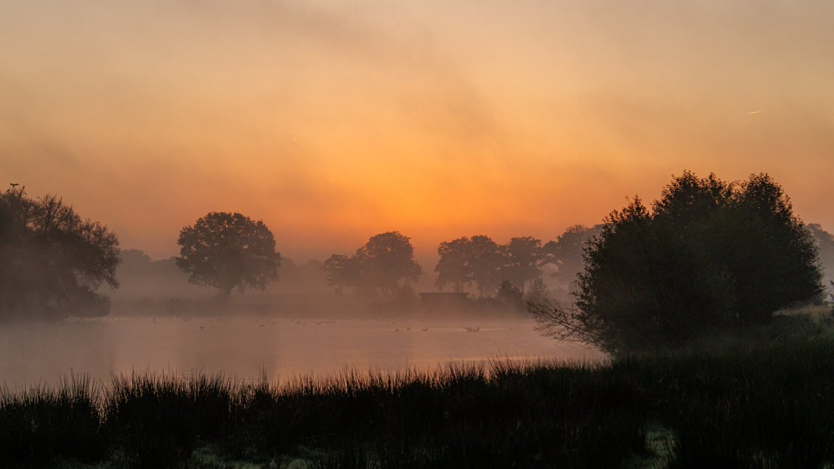AnnySpoolder's tweet photo. Wat begon deze zondag mooi..#sunrise #Dakhorst #Wierden #vitens #waterbuffer @buienadar @pictureofNL @Weerplaza @onweeronline @onwukaa @_weernl @weeronline #mooitwente https://t.co/oqeU4mJfUD