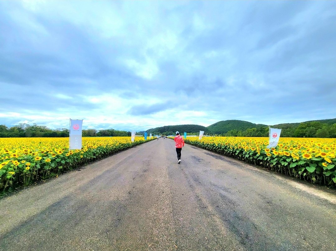Tk_prooon's tweet photo. 人生初の北海道で #オホーツク網走マラソン を走ってきました！

エイドのホタテに和牛にマスカット、どれも美味しかったです😻

たくさん食べてベストタイムを7分更新して3時間42分！

道中で応援してくれた皆様ありがとうございます🙏
サロマ湖の夕焼けめっちゃ綺麗😸

#マラソン
#ランニング https://t.co/BMmcDkIDWb