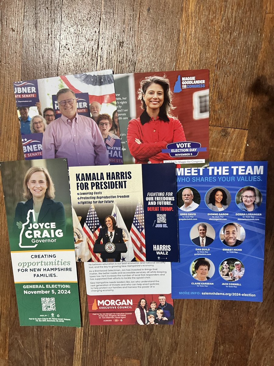 RuthCadbury's tweet image. What does one do after #LPConference? I’ve taken myself to do my bit to stop Trump winning.
Doorknocking yesterday with the #HarrisWalz team in (swing state) New Hampshire, along with State Senate candidate Wayne Haubner &amp;amp; leaflets for his other local Democrat colleagues