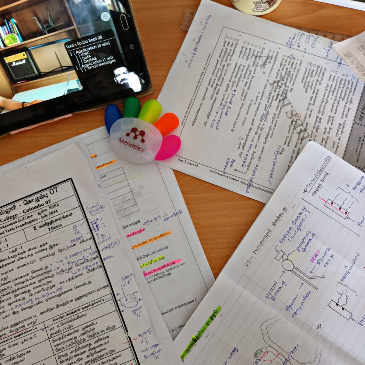 ✨️🏅ᯓ in my academic comeback era 

—— [ #studytwt #archivetwt ]