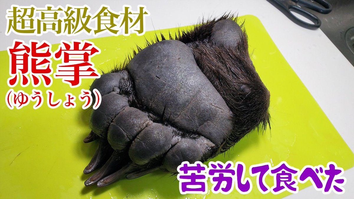 YouTube】中華料理の超高級食材「熊掌」。文字通りクマの手を煮込んだ