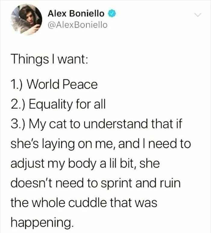 WholesomeMemes (@wholesomememe) on Twitter photo 