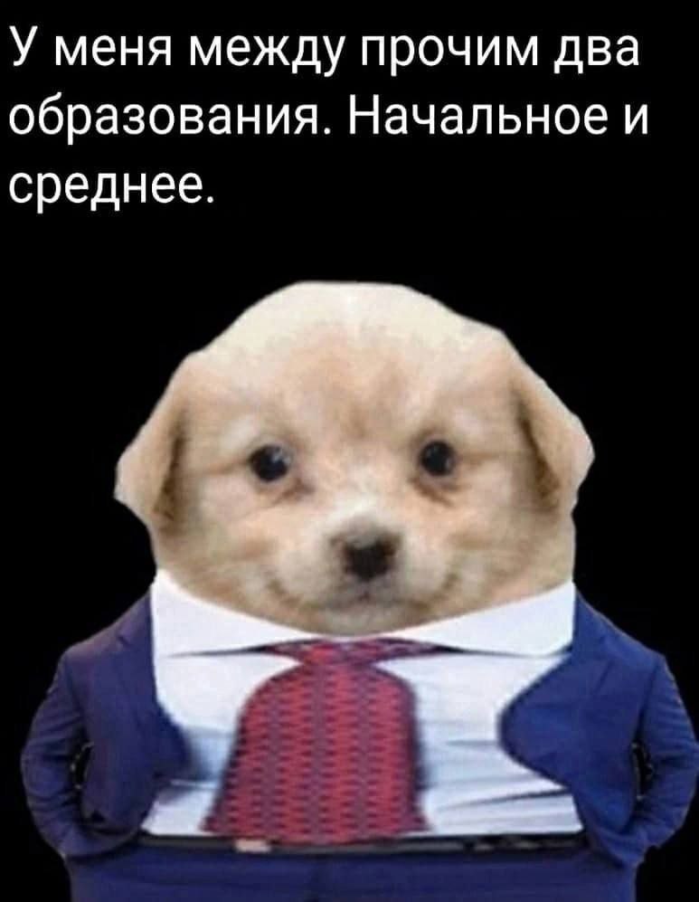 DantesDmitriy's tweet photo. https://t.co/f24MlSYALu