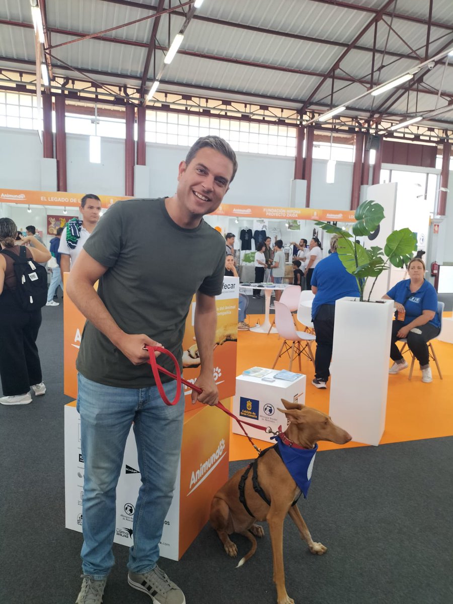 Ayun_Telde's tweet image. 🐶🐾🐱 | El albergue de animales de Telde participó ayer en la séptima edición de #Animundo.

📍Con un stand cargado de información y ganas de impulsar la adopción responsable, cuatro peluditos de nuestra ciudad mostraron su mejor gala para encontrar un hogar para toda la vida.