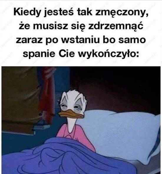 Arktos ⛄️ (@arktos0) on Twitter photo 