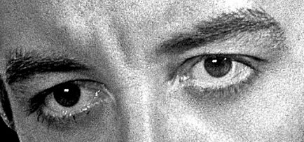 Bufo Calvin tweet media