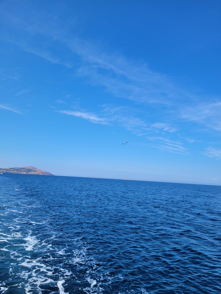 Balina mı o.? 🐳🌊😁