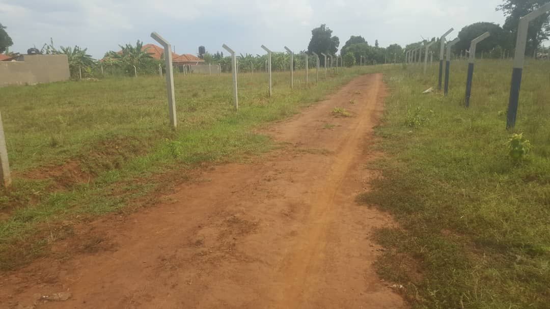 RealEstateUG1's tweet photo. 50x100 plots in Busiika wabikokooma selling at 23million. 1 kilometre from the main road.
Ready titles 
Call or WhatsApp: 0742914650 https://t.co/NXvszveVG9