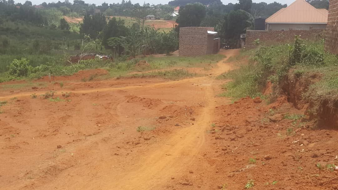 RealEstateUG1's tweet photo. 50x100 plots in Busiika wabikokooma selling at 23million. 1 kilometre from the main road.
Ready titles 
Call or WhatsApp: 0742914650 https://t.co/NXvszveVG9