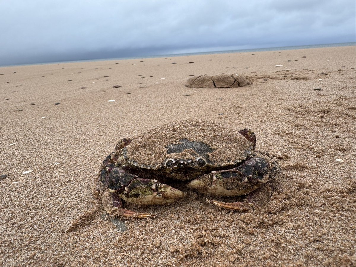 Visited PEI. What a lovely place. #PEI