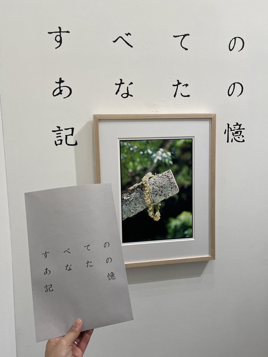 sub_document's tweet photo. 【今月のsub-document_楠】
芸術の秋がはじまりました。
#内藤礼 #生まれておいで生きておいで
#ラボエーム #東京芸術劇場
#すべてのあなたの記憶 #gallery10
#goforkogei https://t.co/lfX2Anb5z8