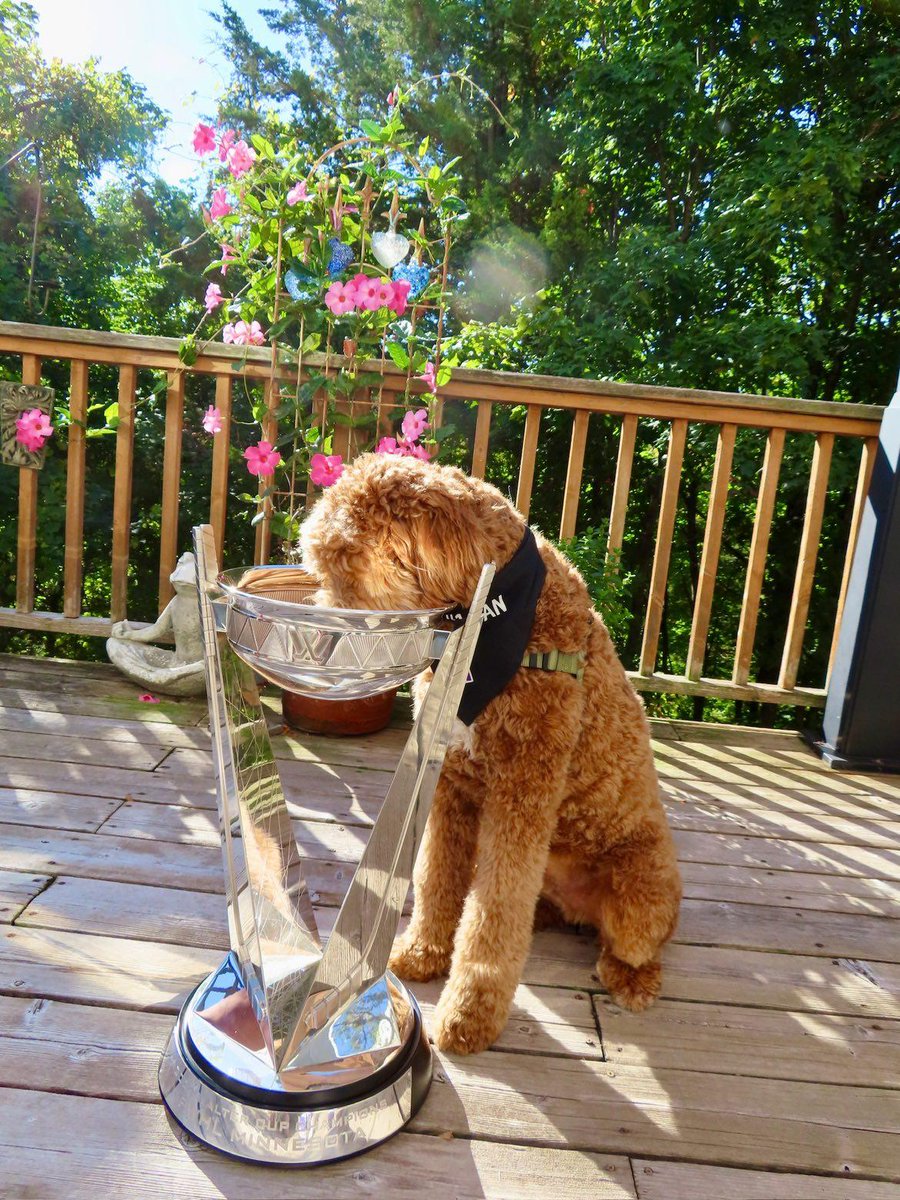 The Walter Pup 🥰

#WalterCupTour ✨️ dog edition ✨️ thanks to Liz Schepers!