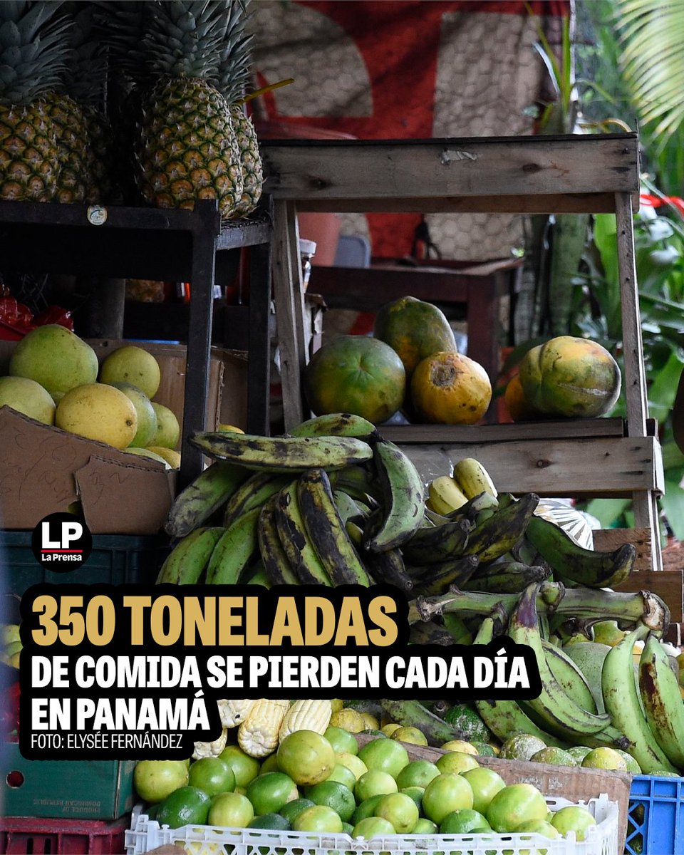 prensacom's tweet photo. En Panamá por día se pierde 350 toneladas de comida que puede ayudar a combatir la malnutrición en la población panameña, especialmente en niños de comunidades de difícil acceso.

Más detalles en https://t.co/rLx5Yn2AoO
https://t.co/hThknCNIBl https://t.co/di0n9mmfJC