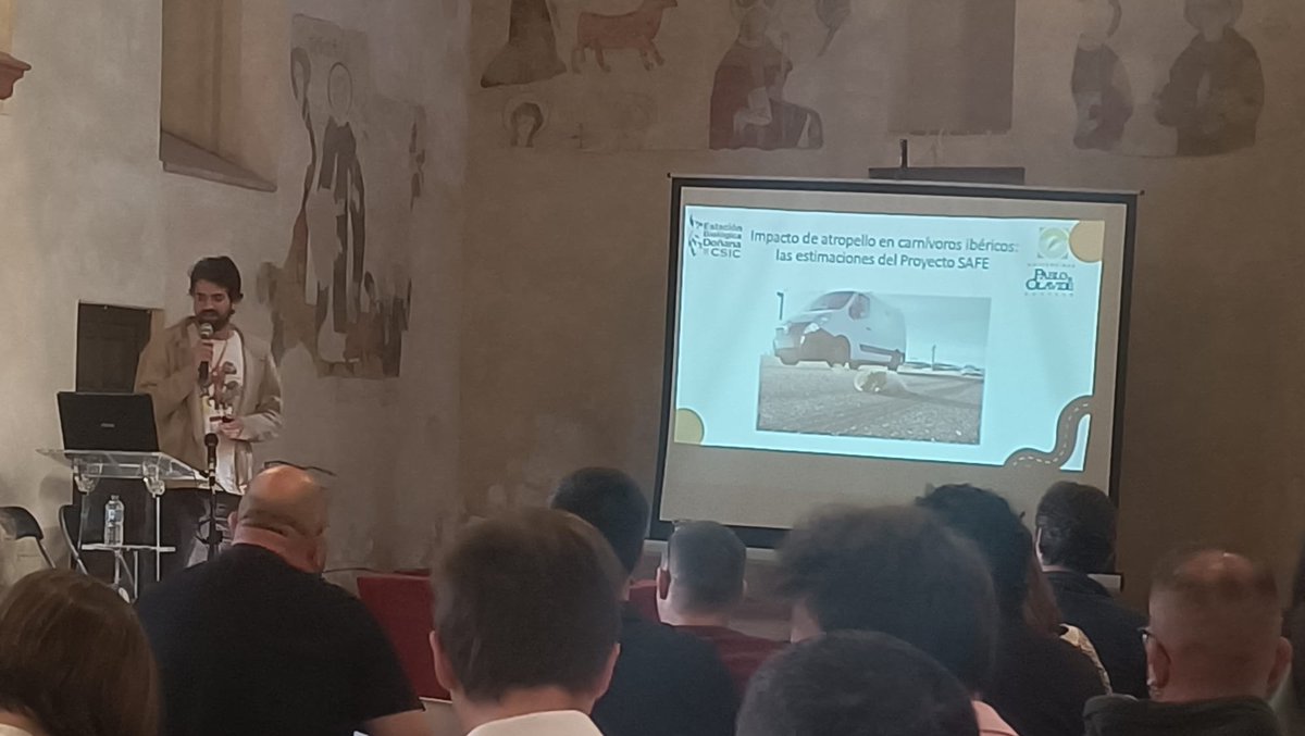 MaD_OnTheRoad's tweet photo. Este finde hemos estado en el Primer Congreso del Grupo de #Carnívoros Terrestres de la @SECEM_ (#CARNib) en #Aracena. Guille nos ha hablado de los resultados de #ProyectoSAFE con respecto a los carnívoros ibéricos https://t.co/npThtXNzXI