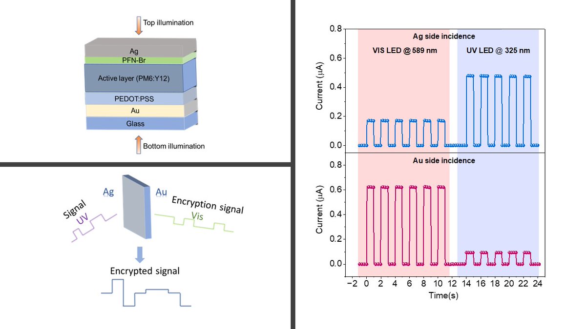 Dimitra Georgiadou (@dimitra_g21) on Twitter photo Read about our latest work on "Multiple Narrowband Bidirectional Self-Powered Organic Photodetector with Fast Response" and its application in encrypted UV communication published in Laser & Photonics Reviews onlinelibrary.wiley.com/doi/full/10.10… #UKRIFLF <a href="/UKRI_News/">UK Research and Innovation</a> <a href="/UoSMedia/">University of Southampton News</a> <a href="/wileyinresearch/">Wiley in research</a> Read about our latest work on "Multiple Narrowband Bidirectional Self-Powered Organic Photodetector with Fast Response" and its application in encrypted UV communication published in Laser & Photonics Reviews onlinelibrary.wiley.com/doi/full/10.10… #UKRIFLF <a href="/UKRI_News/">UK Research and Innovation</a> <a href="/UoSMedia/">University of Southampton News</a> <a href="/wileyinresearch/">Wiley in research</a>