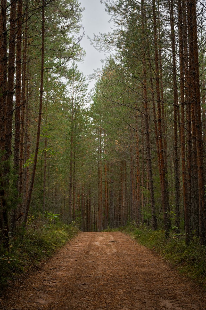 Sneaky Media Group tweet media