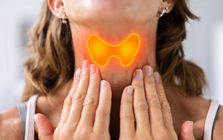 KristenJakobitz's tweet image. Did you know that high estrogen levels can interfere with your thyroid function? Learn how estrogen dominance impacts thyroid health and what that means for midlife women. 

Read the article 👉bit.ly/estrothyroid

#WomensHealth #EstrogenDominance #ThyroidHealth