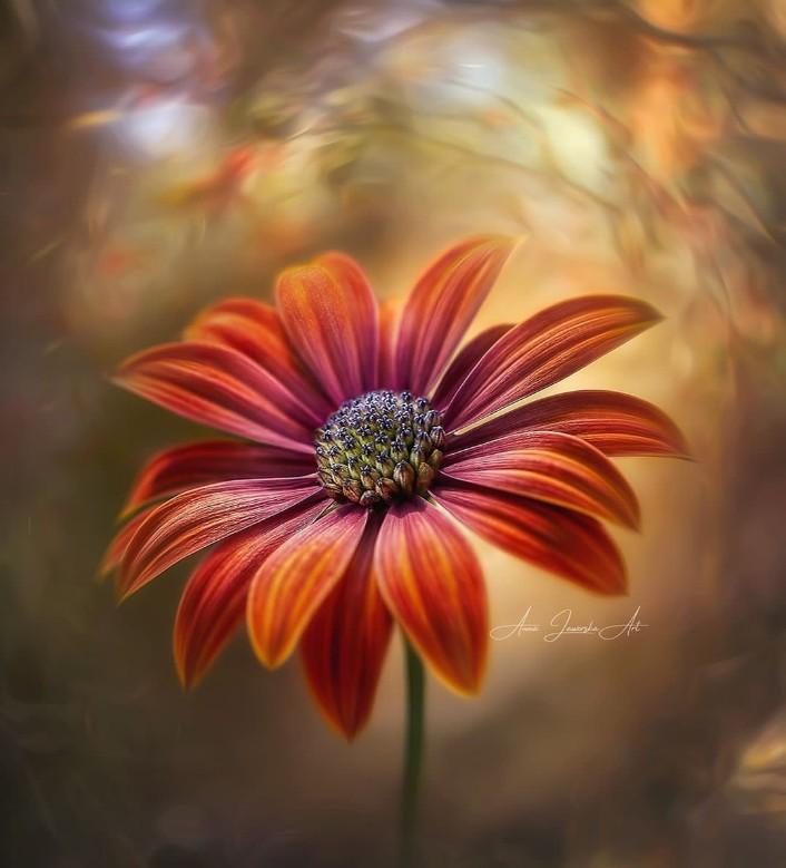 𝑺𝒂𝒋𝒋𝒂𝒅 ✨ (@glmsjd) on Twitter photo #GPG
FB💯
<a href="/Ghz97/">✪𝗚𝖍𝖆𝖟𝖆𝖑𝖆𝖍 𝗦𝖆𝖉𝖆𝖋✪</a> <a href="/Aly9a/">Aly9a</a> <a href="/glmsjd/">𝑺𝒂𝒋𝒋𝒂𝒅 ✨</a>
<a href="/Trq88/">✍︎⸙𝐓αɾιϙ 𝐌υɾƚαȥα࿈</a> <a href="/As_t40/">EriKaCao</a> <a href="/Znt33/">🦋ZêēñäT</a>
<a href="/n_oo_r7/">ماہ نور💫</a> <a href="/IG804/">Shumaila Ali</a> <a href="/_1rha/">بابا کی لاڈلی</a>
<a href="/Fat9T/">Arshia🥀🍂</a> @ars1a_ <a href="/1GPTI/">Misbah</a>
<a href="/1_ruer/">king</a> <a href="/5kshf/">syed kashif</a> <a href="/YPS26/">𝑌𝑎𝑆𝑖𝑅 𝑆𝒉𝑎𝒉𝑍𝑎𝐷</a>
<a href="/Triq25/">⤹𝙈𝙪𝙝𝙖𝙢𝙢𝙖𝙙 𝙏𝙖𝙧𝙞𝙦⤸</a> <a href="/PK50K/">Saher</a>
@Ozautr <a href="/1Ashi5/">Aisha Hashmi</a>
@saqibkh76
<a href="/OdriSeva/">Odri Seva</a>
<a href="/GH0889/">احـــ۬͜͜͜ـ٘͜͜͜ـ۬ـمد</a>
<a href="/IK_0804/">Shahid ᴾᵃᵏᴾᵒʷᵉʳ 🇵🇰</a>
@Qen_pro
<a href="/Qs3488/">Qamar Shahzad🦅</a>
<a href="/Sd_S10/">Sadam Rajput</a>
<a href="/Hfz672/">Hafeez❤🖤💚</a>
<a href="/zz70m/">🌸Ameer Zahir🇵🇰</a>
<a href="/Bab1r/">Babar</a>
<a href="/s88ik/">𝑰𝒌 𝑺𝑯𝑨𝑯𝑬𝑬𝑵 🩶</a>
<a href="/bnte_/">بـٌـٌٌـٌٌٌـٌٌـٌنـِِـِـتـٌـٌٌـ۔</a>
<a href="/1iA_4/">Arshad_Qureshi</a>
<a href="/Ghz21/">⍟𝐆𝐡𝐚𝐳𝐚𝐥𝐚 𝐒𝐚𝐝𝐚𝐟⍟</a>
@Lub_03 <a href="/Ghz79/">❃ 𝔾𝕙𝕒𝕫𝕒𝕝𝕒𝕙 𝕊𝕒𝕕𝕒𝕗 ❃</a> #GPG
FB💯
<a href="/Ghz97/">✪𝗚𝖍𝖆𝖟𝖆𝖑𝖆𝖍 𝗦𝖆𝖉𝖆𝖋✪</a> <a href="/Aly9a/">Aly9a</a> <a href="/glmsjd/">𝑺𝒂𝒋𝒋𝒂𝒅 ✨</a>
<a href="/Trq88/">✍︎⸙𝐓αɾιϙ 𝐌υɾƚαȥα࿈</a> <a href="/As_t40/">EriKaCao</a> <a href="/Znt33/">🦋ZêēñäT</a>
<a href="/n_oo_r7/">ماہ نور💫</a> <a href="/IG804/">Shumaila Ali</a> <a href="/_1rha/">بابا کی لاڈلی</a>
<a href="/Fat9T/">Arshia🥀🍂</a> @ars1a_ <a href="/1GPTI/">Misbah</a>
<a href="/1_ruer/">king</a> <a href="/5kshf/">syed kashif</a> <a href="/YPS26/">𝑌𝑎𝑆𝑖𝑅 𝑆𝒉𝑎𝒉𝑍𝑎𝐷</a>
<a href="/Triq25/">⤹𝙈𝙪𝙝𝙖𝙢𝙢𝙖𝙙 𝙏𝙖𝙧𝙞𝙦⤸</a> <a href="/PK50K/">Saher</a>
@Ozautr <a href="/1Ashi5/">Aisha Hashmi</a>
@saqibkh76
<a href="/OdriSeva/">Odri Seva</a>
<a href="/GH0889/">احـــ۬͜͜͜ـ٘͜͜͜ـ۬ـمد</a>
<a href="/IK_0804/">Shahid ᴾᵃᵏᴾᵒʷᵉʳ 🇵🇰</a>
@Qen_pro
<a href="/Qs3488/">Qamar Shahzad🦅</a>
<a href="/Sd_S10/">Sadam Rajput</a>
<a href="/Hfz672/">Hafeez❤🖤💚</a>
<a href="/zz70m/">🌸Ameer Zahir🇵🇰</a>
<a href="/Bab1r/">Babar</a>
<a href="/s88ik/">𝑰𝒌 𝑺𝑯𝑨𝑯𝑬𝑬𝑵 🩶</a>
<a href="/bnte_/">بـٌـٌٌـٌٌٌـٌٌـٌنـِِـِـتـٌـٌٌـ۔</a>
<a href="/1iA_4/">Arshad_Qureshi</a>
<a href="/Ghz21/">⍟𝐆𝐡𝐚𝐳𝐚𝐥𝐚 𝐒𝐚𝐝𝐚𝐟⍟</a>
@Lub_03 <a href="/Ghz79/">❃ 𝔾𝕙𝕒𝕫𝕒𝕝𝕒𝕙 𝕊𝕒𝕕𝕒𝕗 ❃</a>