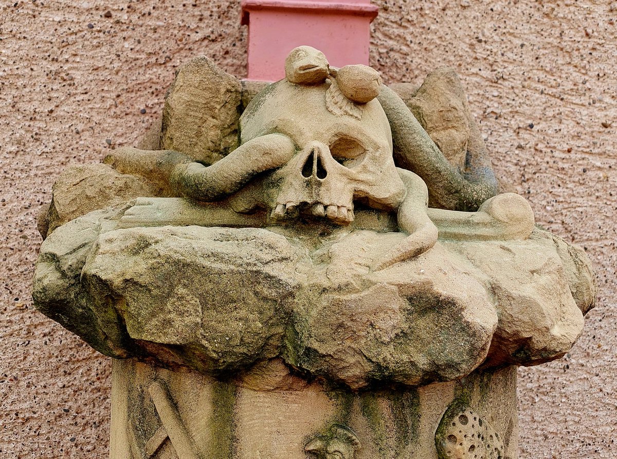 Sandra Wyss tweet media