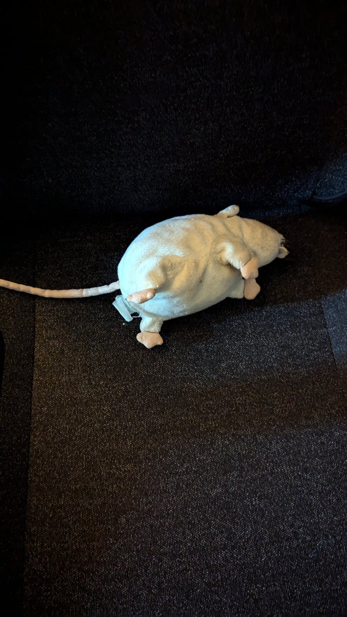 ancat___'s tweet photo. ! CRIME SCENE ! https://t.co/fifycaabvX