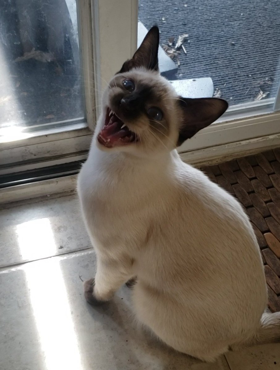 Linkin 🅱️ark and 216 others tweet media