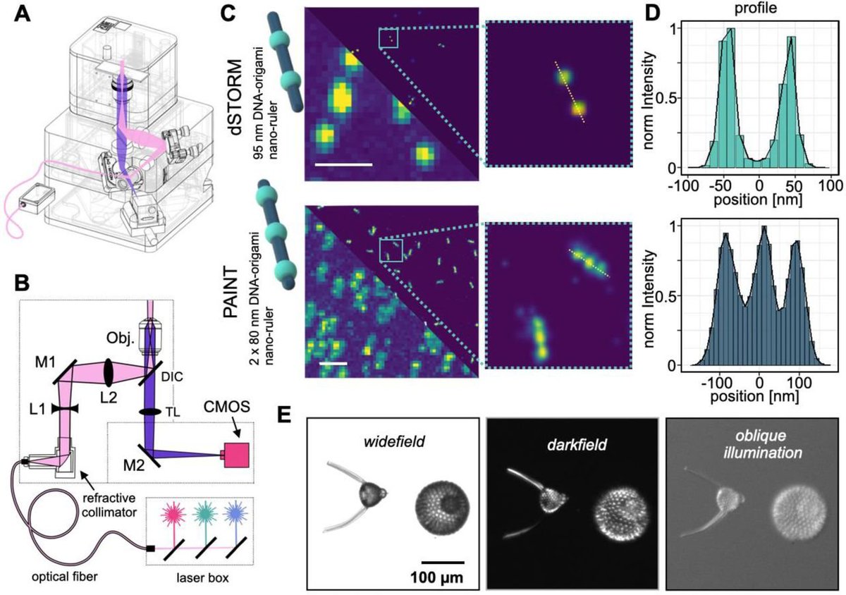 MWNautilus's tweet photo. #BrickMIC: #OpenSource single-molecule detection &amp; super-resolution #imaging with a portable &amp; adaptable #3Dprinted #microscopy platform:
https://t.co/CbsAp4SlYZ
#DIYbio #lab #instruments #microscope #spectroscopy #optics #STORM #PAINT #fluorescence #Python https://t.co/lnSUey4ZY1