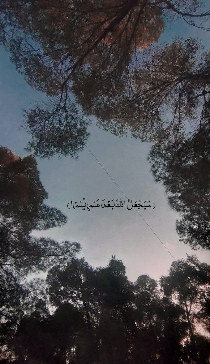 motm2na_'s tweet photo. سَيَجْعَلُ اللَّهُ بَعْدَ عُسْرٍ يُسْرًا🩶.. https://t.co/O3zwmr0fxZ