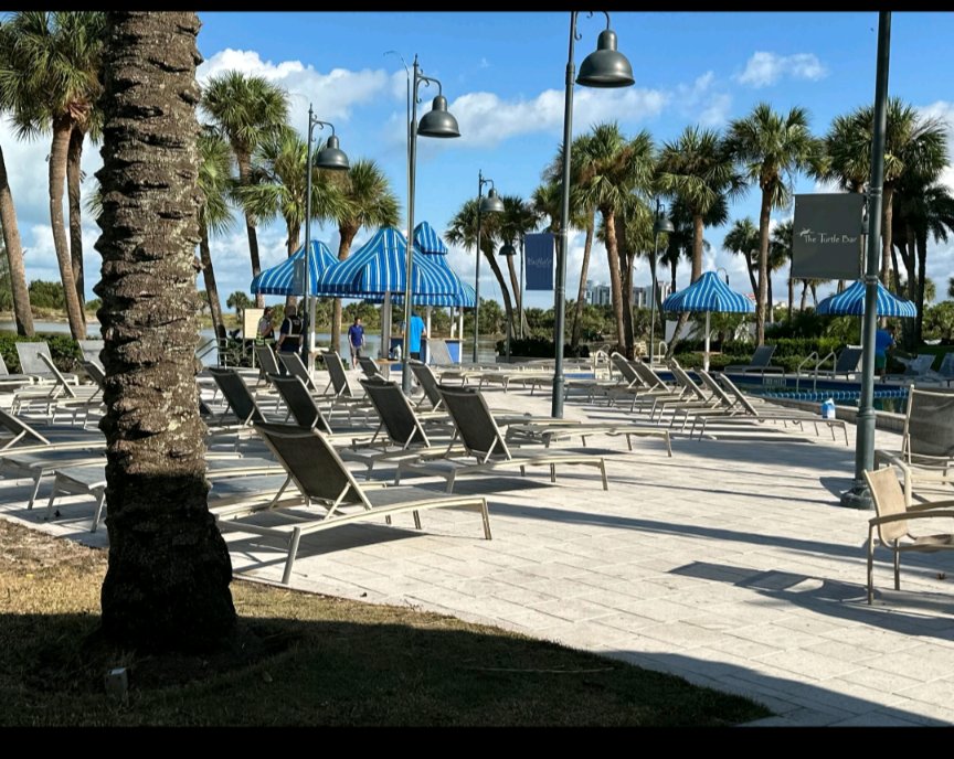 Florida Dreamin' tweet media