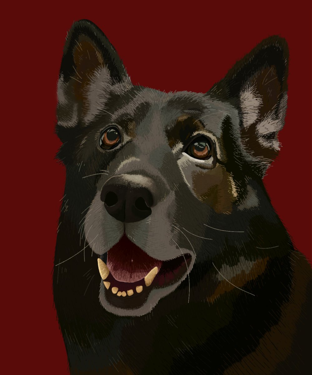 ✦ 𝕮𝖆𝖎𝖙 tweet media