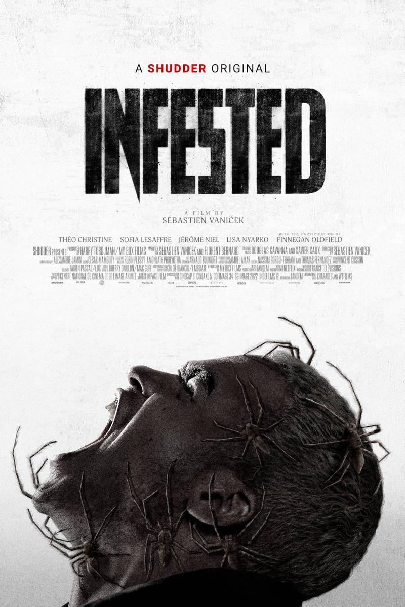 ReelFeelsPod's tweet image. #200DaysOfHorror

Movie #367- Infested (2024) on @Shudder 

Kaleb, a man who's about to turn 30, brings a venomous spider home from a bazaar and it escapes and reproduces, turning his flat into a web trap.