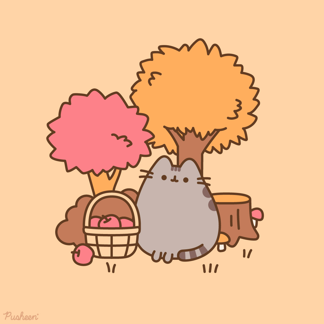 Pusheen's tweet photo. Send this to someone you want to go apple picking with! 🍎🍂 https://t.co/IhkNn9grUF