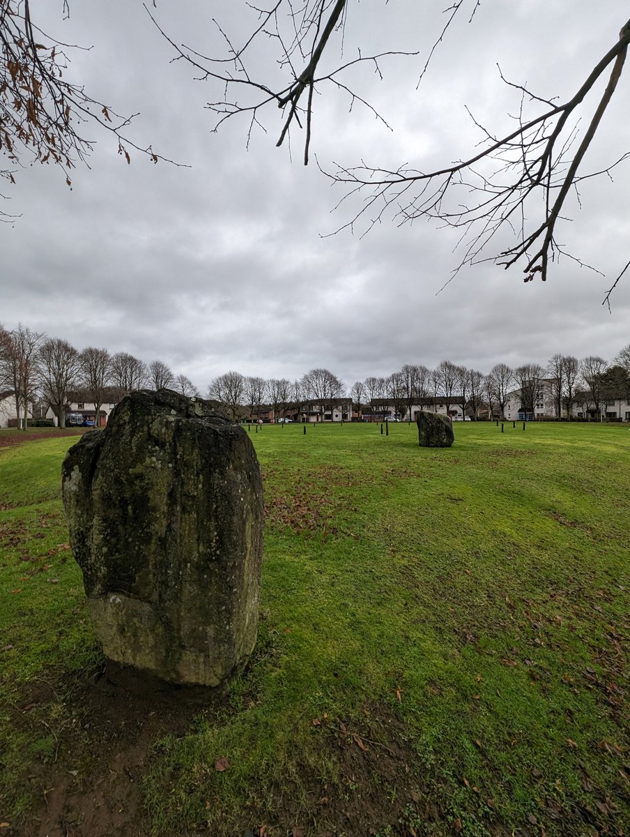 Stone Me tweet media