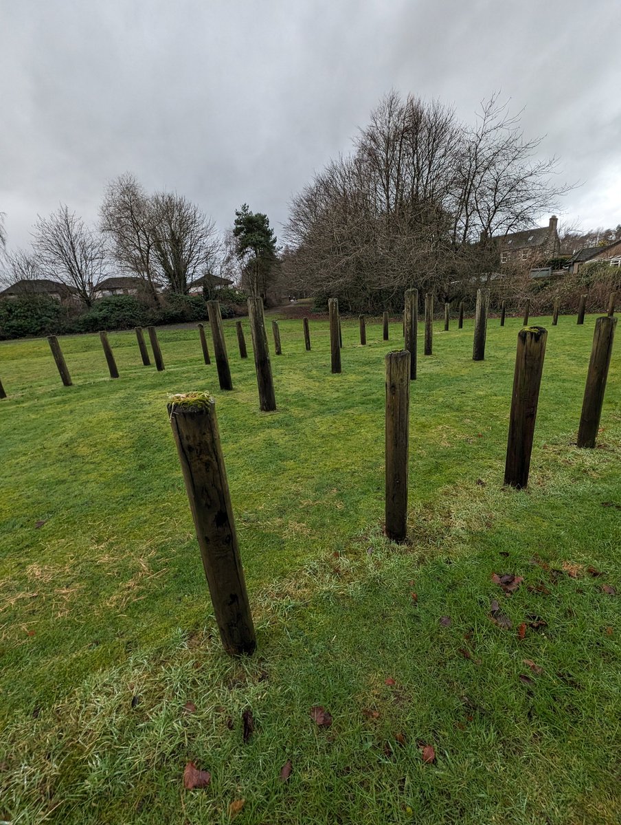 Stone Me tweet media