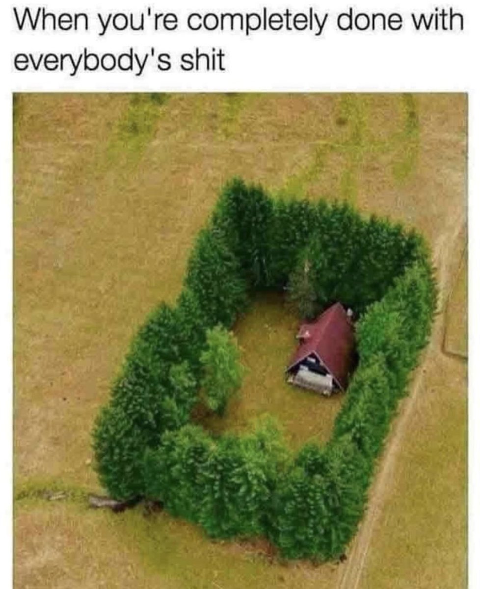 introvertsmemes's tweet image. 