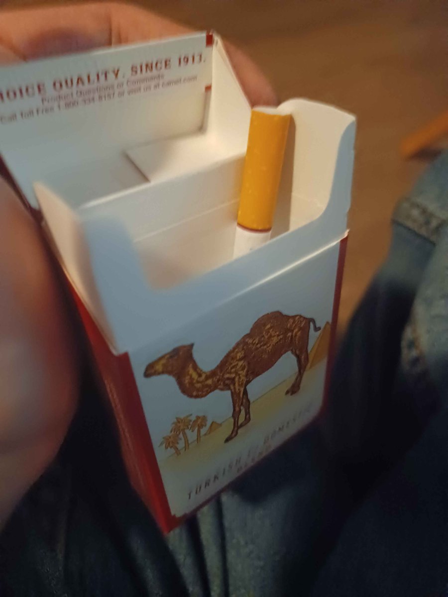 Chip Vogel tweet media