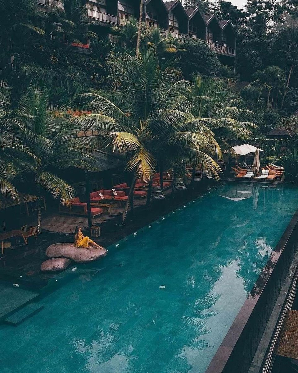 Freedom Luxe tweet media