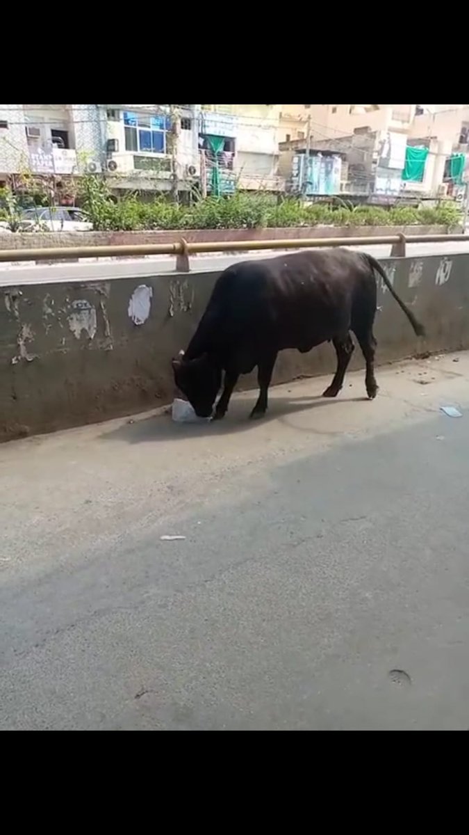 NANGAL RAYA SAMAJ SEWA DAL( REGD) tweet media