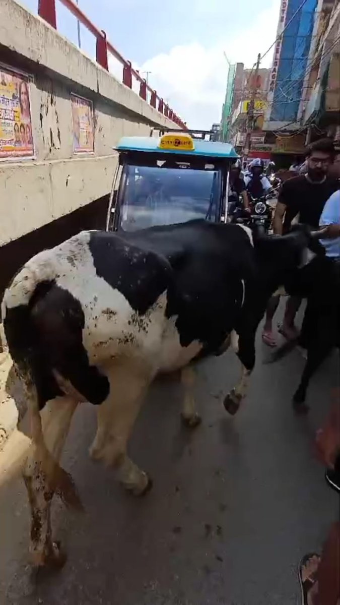NANGAL RAYA SAMAJ SEWA DAL( REGD) tweet media