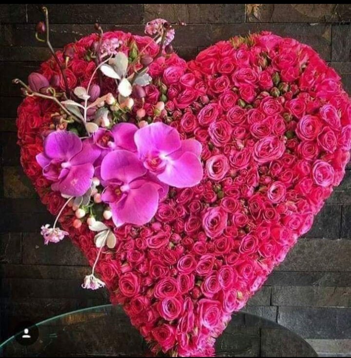 zmnvslt's tweet photo. Kim bir gönüle❤️
Gönlüyle dokunursa 
Mutlaka izi kalır...

İziniz ,tatlı anılarınız 
kalsın gönüllerde...
Zira kötü izler çabuk siliniyor...🍃🌺 https://t.co/i5UPUVWJpc