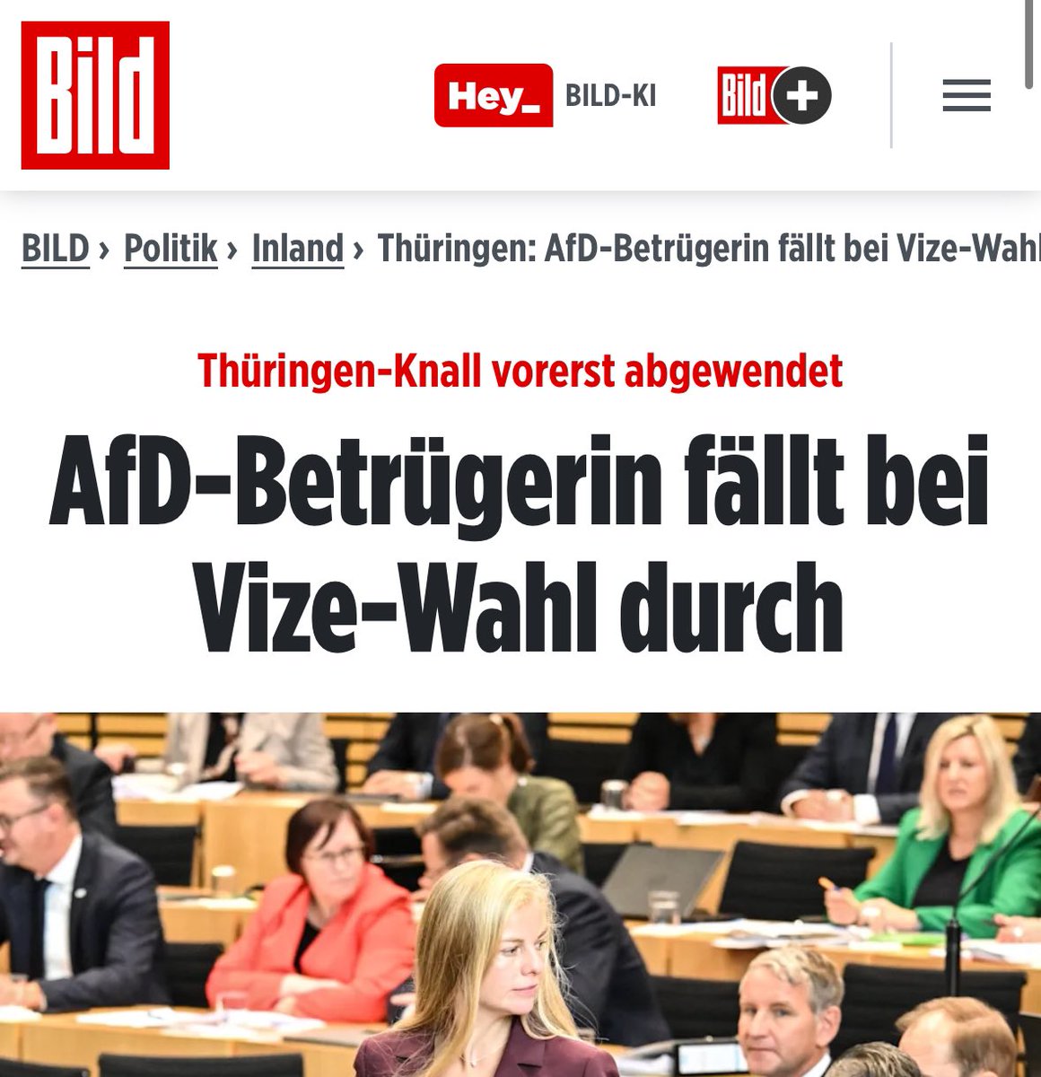 GenossenWatch's tweet photo. @marim686 Oh nein… ein Plagiat. Dann doch lieber eine echte Betrügerin als Vize-Landtagspräsidentin.

Weder konservativ, noch bürgerlich. https://t.co/fRHAUVBLAh