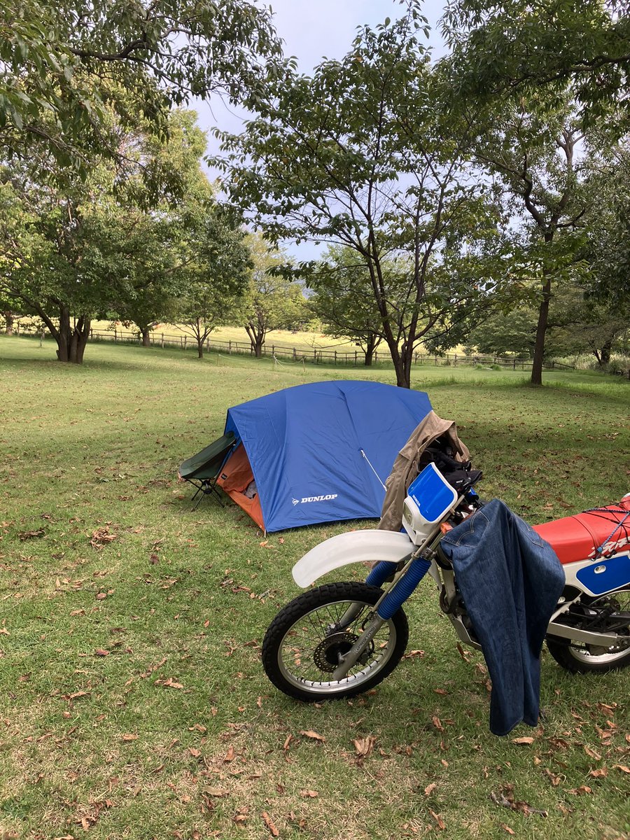 19Agido's tweet photo. 久しぶりにキャンプ🏕️夕食の買い出しに行ったら夕立に会いずぶ濡れ😭 https://t.co/8gvSlfbz6Z