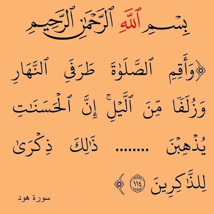 ✨Khatmah Musk tweet media